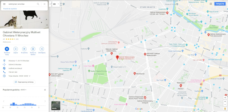 pozycjonowanie w mapach google 2