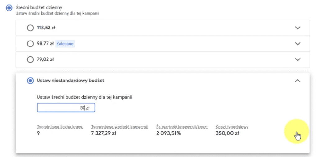 Budżet Kampanii Pmax budżet kampanii pmax